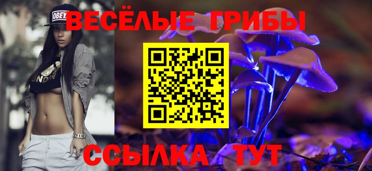 Псилоцибиновые грибы MAGIC MUSHROOMS Советский
